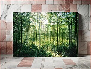 Πίνακας, Lush Forest Scene Σκηνή καταπράσινου δάσους