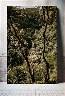 Πίνακας, Lush Forest Waterfall Καταρράκτης Καταπράσινος Δάσος
