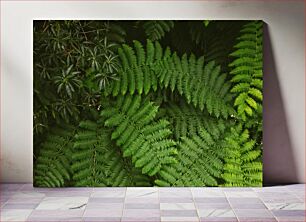 Πίνακας, Lush Green Ferns Πλούσιες πράσινες φτέρες