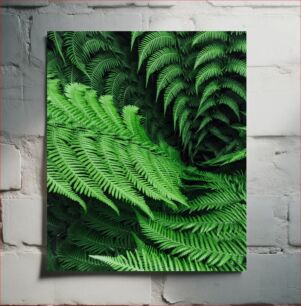 Πίνακας, Lush Green Ferns Καταπράσινες Φτέρες