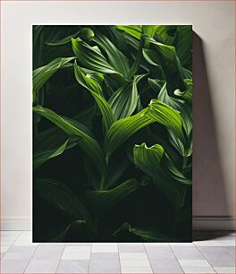 Πίνακας, Lush Green Foliage Πλούσιο πράσινο φύλλωμα
