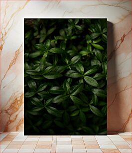 Πίνακας, Lush Green Leaves Πλούσια πράσινα φύλλα