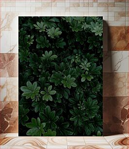 Πίνακας, Lush Green Leaves with Dew Πλούσια πράσινα φύλλα με δροσιά