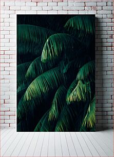 Πίνακας, Lush Green Palm Leaves Πλούσια πράσινα φύλλα φοίνικα