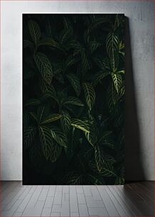 Πίνακας, Lush Greenery in Low Light Καταπράσινο τοπίο σε χαμηλό φωτισμό