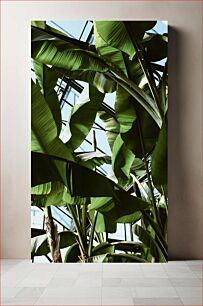 Πίνακας, Lush Greenhouse Foliage Πλούσιο φύλλωμα θερμοκηπίου
