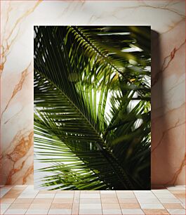 Πίνακας, Lush Palm Leaves Πλούσια φύλλα φοίνικα