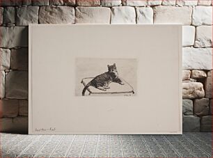 Πίνακας, Lying cat by Axel Hou
