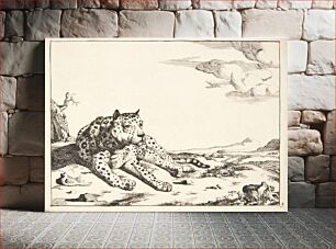 Πίνακας, Lying leopard, front view by Marcus de Bye