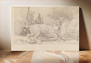 Πίνακας, Lynx, 1830 - 1870, Wilhelm von Wright