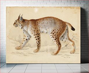 Πίνακας, Lynx, 1830 - 1870, Wilhelm von Wright