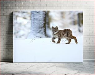 Πίνακας, Lynx in Snowy Forest Λυγξ στο Χιονισμένο Δάσος