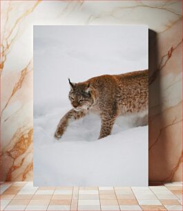 Πίνακας, Lynx in Snowy Landscape Λυγξ στο χιονισμένο τοπίο