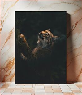 Πίνακας, Lynx in the Dark Λυγξ στο σκοτάδι