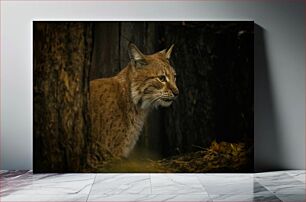 Πίνακας, Lynx in the Forest Λυγξ στο Δάσος