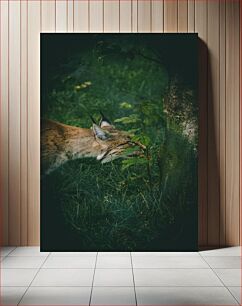 Πίνακας, Lynx in the Forest Λυγξ στο Δάσος