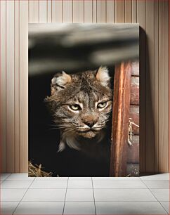 Πίνακας, Lynx in the Hut Λυγξ στην Καλύβα