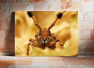 Πίνακας, Macro Photograph of an Insect Μακρο φωτογραφία ενός εντόμου