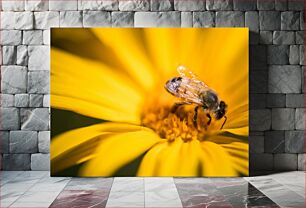 Πίνακας, Macro Shot of a Bee on a Yellow Flower Μακρο φωτογραφία μιας μέλισσας σε ένα κίτρινο λουλούδι
