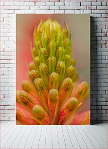 Πίνακας, Macro Shot of a Flower Μακροεντολή λήψης ενός λουλουδιού