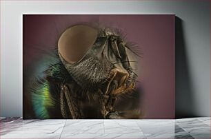 Πίνακας, Macro Shot of a Fly Μακροσκοπική λήψη μιας μύγας
