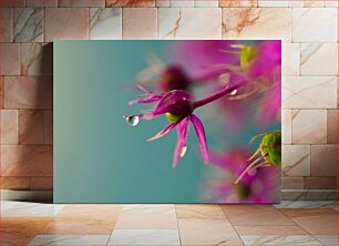 Πίνακας, Macro Shot of a Purple Flower with Water Droplet Μακρο φωτογραφία ενός μωβ λουλουδιού με σταγόνα νερού