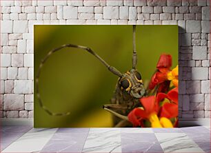 Πίνακας, Macro Shot of an Insect on Flowers Μακροσκοπική λήψη ενός εντόμου σε λουλούδια