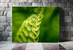 Πίνακας, Macro Shot of Fern Leaf Μακρο πλάνο φύλλου φτέρης