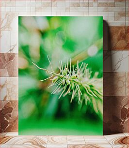 Πίνακας, Macro Shot of Green Plant Μακροεντολή λήψης πράσινου φυτού