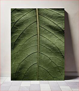 Πίνακας, Macro Shot of Leaf Veins Μακρο λήψη φλεβών φύλλων