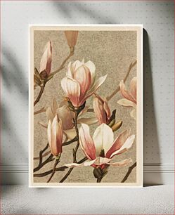 Πίνακας, Magnolia by Ellen Thayer Fisher