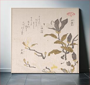Πίνακας, Magnolia Flowers by Kubo Shunman