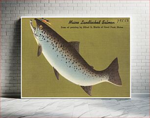 Πίνακας, Maine Landlocked Salmon, from oil painting by Alfred G. Martin of Great Pond, Maine