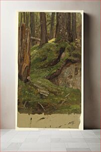 Πίνακας, Maine ? woods by Frederic Edwin Church, American, 1826–1900
