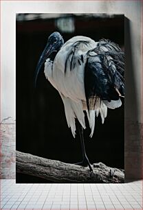 Πίνακας, Majestic Bird on a Branch Majestic Bird on a Branch