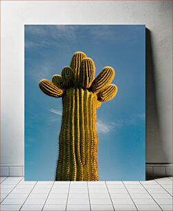 Πίνακας, Majestic Cactus Against Blue Sky Majestic Cactus Against Blue Sky