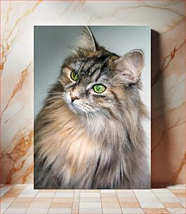 Πίνακας, Majestic Cat Portrait Majestic Cat Portrait