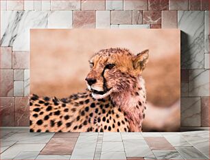 Πίνακας, Majestic Cheetah Majestic Cheetah