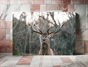 Πίνακας, Majestic Deer in Forest Majestic Deer in Forest