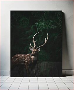 Πίνακας, Majestic Deer in the Forest Μεγαλοπρεπές ελάφι στο δάσος
