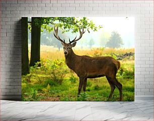 Πίνακας, Majestic Deer in the Forest Μεγαλοπρεπές ελάφι στο δάσος