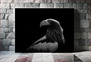 Πίνακας, Majestic Eagle in Black and White Majestic Eagle σε μαύρο και άσπρο