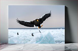 Πίνακας, Majestic Eagle in Flight Majestic Eagle in Flight