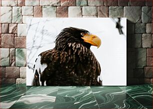 Πίνακας, Majestic Eagle Μεγαλοπρεπής Αετός