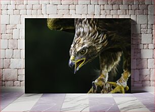 Πίνακας, Majestic Eagle Μεγαλοπρεπής Αετός