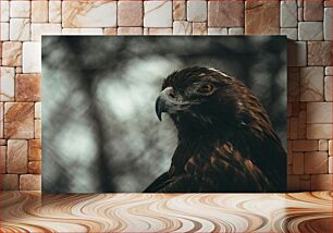 Πίνακας, Majestic Eagle Μεγαλοπρεπής Αετός