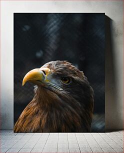 Πίνακας, Majestic Eagle Μεγαλοπρεπής Αετός