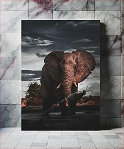 Πίνακας, Majestic Elephant in the Wild Majestic Elephant in the Wild