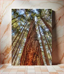 Πίνακας, Majestic Forest Μεγαλοπρεπές Δάσος