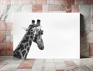 Πίνακας, Majestic Giraffe in Black and White Majestic Giraffe in Black and White